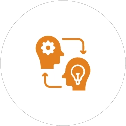 Professional Support and Dedicated Assistance